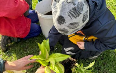 Povolání: ten dělá to a tenhle tohle..... - c77f9dfd 1050 419f 8d66 6eb304e7535a 380x240