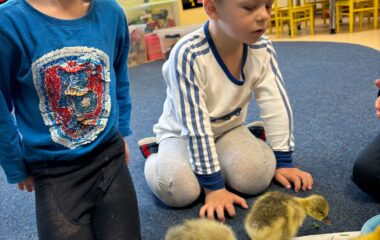 drobná chovná zvířátka ve školce - 296f39fa ed11 4cd4 8970 4495e4f865e2 380x240