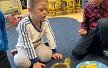 drobná chovná zvířátka ve školce - 646ef8a1 5973 43ea 9c25 7347ebc7881f 380x240