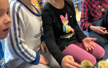 drobná chovná zvířátka ve školce - d6233bdd ffaf 4474 8819 e3064fb0f23d 380x240