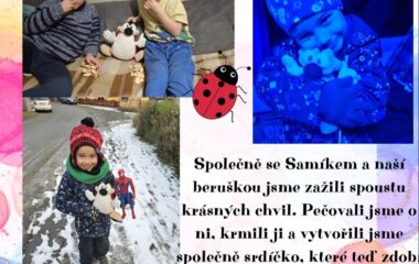 PUTOVÁNÍ S BERUŠKOU - 7a13f87f 51f3 4065 8e7b f325061e0ce8 380x240