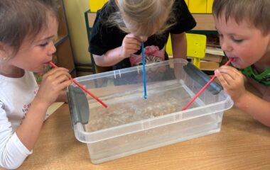 mořský svět - 3a89ae04 4e0a 4db9 a6b5 47a50956e84a 380x240