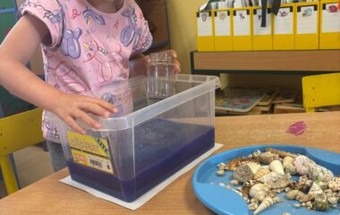 mořský svět - ed6b231c d15e 496d 8660 e5cdef0bb02c 380x240