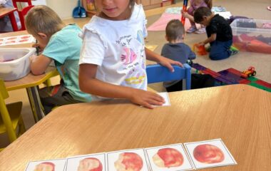 jablíčko hraní ... - 3f5875b9 5343 4273 a619 5d95a9a5fa2d 380x240