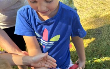 po prázdninách ve školce - 4a2658aa 2695 4e44 9fc0 0d09f8b60f15 380x240