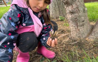 jablíčko hraní ... - 5C655A71 FE2C 4CCB B2F9 02686C5F0925 380x240