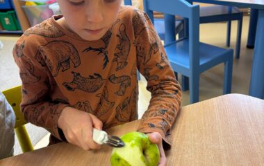 jablíčko hraní ... - 8E00CC21 01A4 495E 9694 A7D5DC76A106 380x240