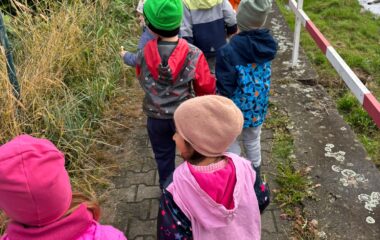 podzimní hrátky... - 198730f5 d4bf 45c4 9fff ec4471731795 380x240