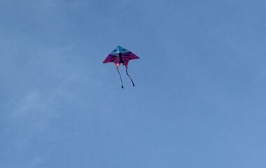 drakiáda - 41dea318 8164 4eb2 aab6 28988984cc3a 380x240