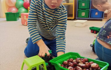 téma: plody podzimu - 58c9d05c 6def 4c85 bb32 00e3d1a5e83e 380x240