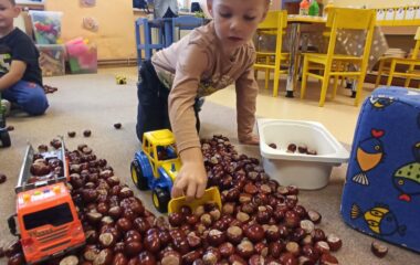 téma: plody podzimu - 88a4e667 4440 451e 8881 49e31fb307c0 380x240