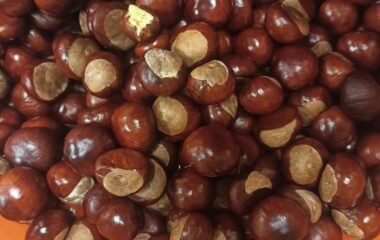 téma: plody podzimu - c0d51ee9 1650 4c02 90ee 907c79707222 380x240