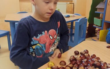 téma: plody podzimu - c1b000d8 30af 4dac a6f2 4c2f28444185 380x240