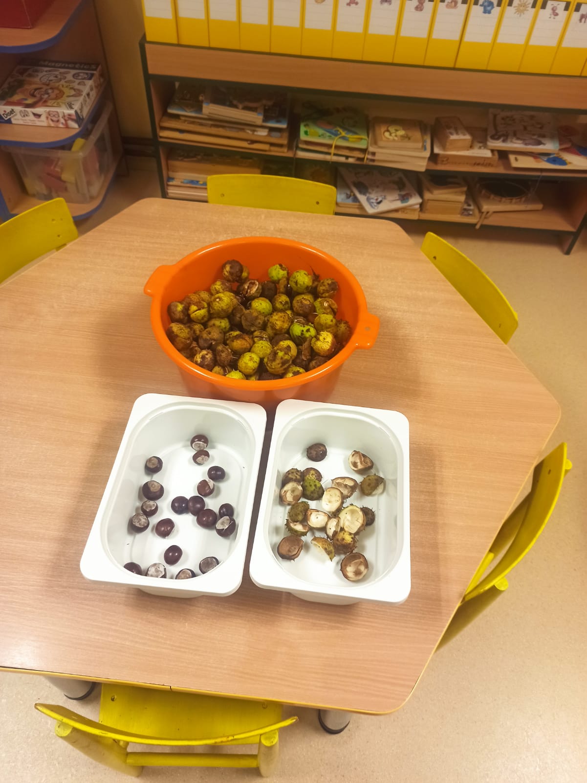 téma: plody podzimu