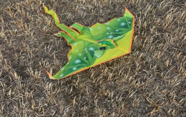 drakiáda - c4af156a 89d1 4c72 aa51 7ec4d83fdfb0 380x240