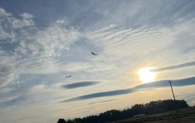 drakiáda - c9249c95 1d32 497c 9e09 c6f20d3daaed 380x240