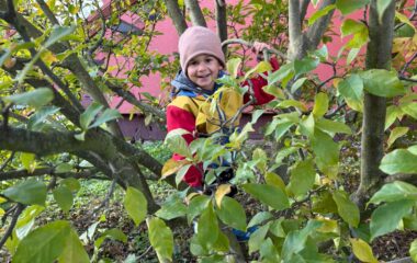 podzimní hrátky... - d1c03cfe 3919 40ef 878b e9795efbfd7f 380x240