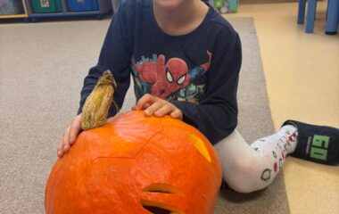 halloween p&aacute;rty - 402f883c a4e7 4d71 bc91 8400789a6c79 380x240