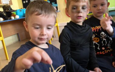 halloween p&aacute;rty - 56453e9a 542c 4a3c 84fd cd59ab64de8f 380x240