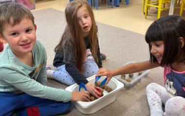 na svat&eacute;ho Martina... - 646b927e eb9b 40e4 b2cf 77ce96ad8b45 380x240