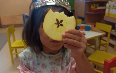 v&aacute;nočn&iacute; čas - fd5e64aa 659b 4446 a001 91793a92de66 380x240