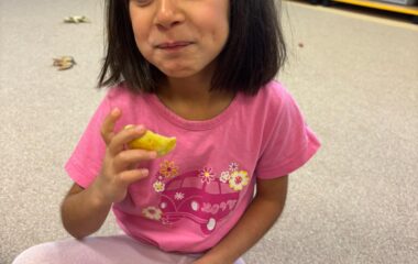 předv&aacute;nočn&iacute; čas - 0c21f24c b427 4d9d a3e9 54ceb01f5c29 380x240