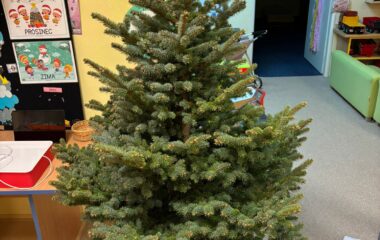 předv&aacute;nočn&iacute; čas - 236a301f b14f 4b99 bd27 881f01c096ca 380x240