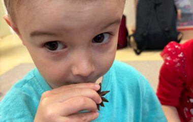 předv&aacute;nočn&iacute; čas - b675232b ac07 451c 84fd 84ad8232bf24 380x240