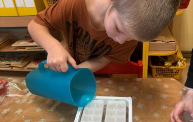 zimn&iacute; kr&aacute;lovstv&iacute; - bc310ff0 fbbf 4446 b6ac 830e197db96b 380x240