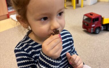 předv&aacute;nočn&iacute; čas - c721a9fa 2e9d 47f4 9608 c8389fc39224 380x240