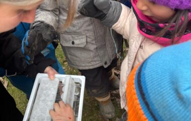 zimn&iacute; kr&aacute;lovstv&iacute; - ce34c326 0705 40c0 8493 602ccbd5622f 380x240