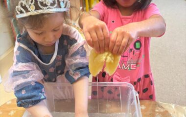 zimn&iacute; kr&aacute;lovstv&iacute; - d9b33325 20b9 44e2 9be3 33a21678107c 380x240