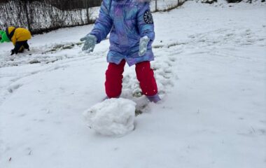 zimn&iacute; kr&aacute;lovstv&iacute; - f8d8dfc1 1d34 4ddf bc32 b25b5df14e70 380x240