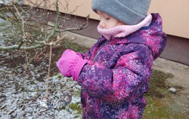 lednov&eacute; radov&aacute;nky - 03a577e4 2be6 4339 a11a 8cc646184f41 380x240