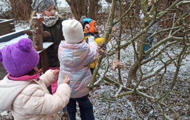 lednov&eacute; radov&aacute;nky - 6bdd69a3 c145 4d4d 9293 3960c38293d6 380x240