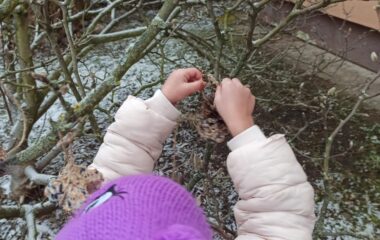 lednov&eacute; radov&aacute;nky - 9d54c01f 85eb 48e3 a47e 1658e1875a7b 380x240