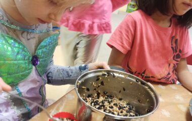 lednov&eacute; radov&aacute;nky - baffad7d baf5 4a7e 8d61 b7574b23f3f6 380x240