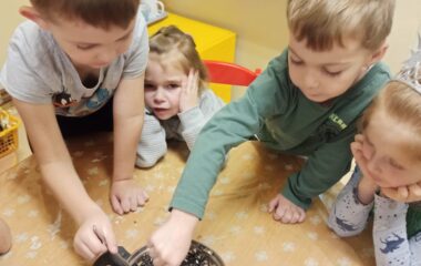 lednov&eacute; radov&aacute;nky - bee71e97 f810 4552 aa0a 2781077d0e81 380x240