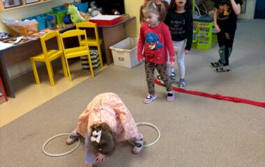 my jsme muzikanti... - c72ef37c 4783 4a3e 8c84 430669831611 380x240