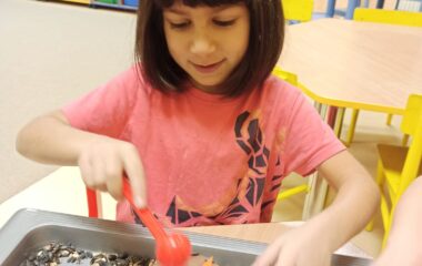 lednov&eacute; radov&aacute;nky - dd137f10 aa7e 4506 a387 272d197efb63 380x240