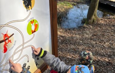 jarn&iacute; dobrodružstv&iacute; - 0fb894e2 05bb 4edf 8c6c 5559dcc053b3 380x240