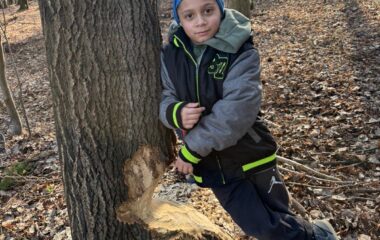 jarn&iacute; dobrodružstv&iacute; - 23be68ec 17fa 4ded 996d 471114a41252 380x240