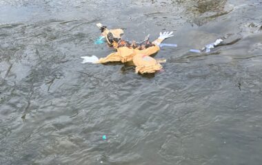 jarn&iacute; dobrodružstv&iacute; - 583d3a0c 6aac 41cd 9f31 c1445e62b44e 380x240