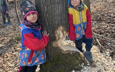 jarn&iacute; dobrodružstv&iacute; - 76222ecd 8722 463e 9253 8bf8d07095c3 380x240