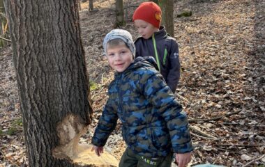 jarn&iacute; dobrodružstv&iacute; - 94fc4688 2a78 43e7 b535 b3db9d5d7b65 380x240