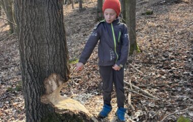 jarn&iacute; dobrodružstv&iacute; - a55c2f1d 0c34 4022 b4e5 83883b971c77 380x240