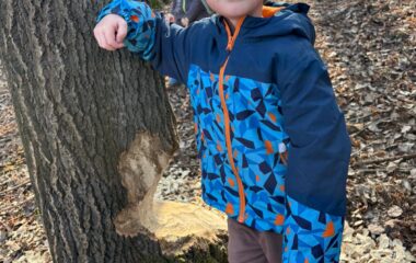 jarn&iacute; dobrodružstv&iacute; - ada0bba8 cd23 45f0 a973 ccb823058923 380x240