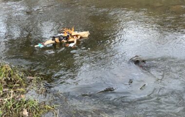 jarn&iacute; dobrodružstv&iacute; - c6022e9c 99a9 4e2c a47d f073207939a6 380x240