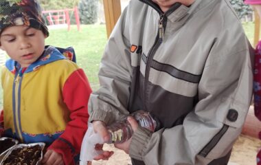 v&iacute;t&aacute;me jaro - velikonoce - 0215a05a 9a50 4a00 b932 4f1b957cefa6 380x240