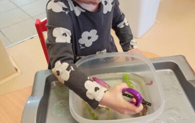 Den Země - 06000f24 abbf 44b5 9039 d0b517528dae 380x240